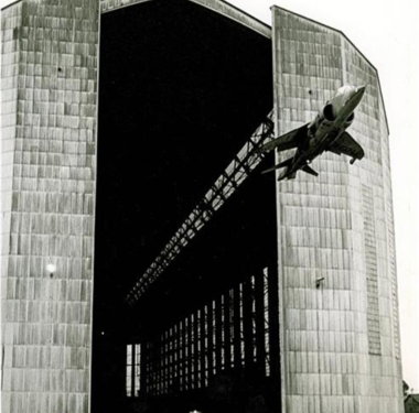Harrier-Brazil-shed-1.jpg